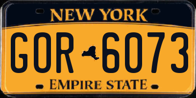 NY license plate GOR6073