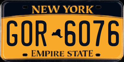 NY license plate GOR6076