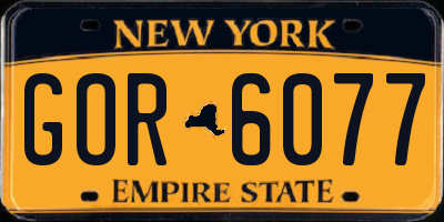 NY license plate GOR6077