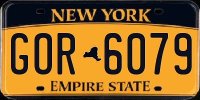 NY license plate GOR6079