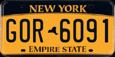 NY license plate GOR6091