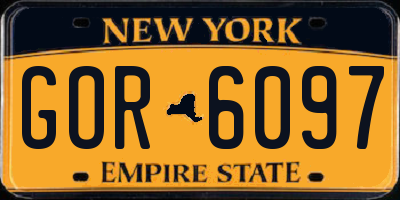 NY license plate GOR6097