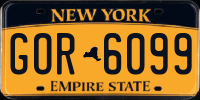 NY license plate GOR6099