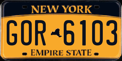 NY license plate GOR6103