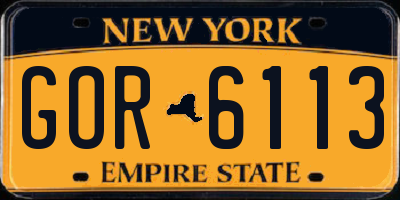 NY license plate GOR6113