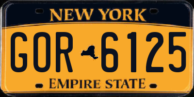 NY license plate GOR6125