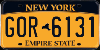 NY license plate GOR6131