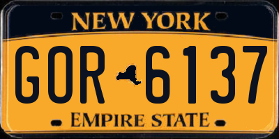 NY license plate GOR6137