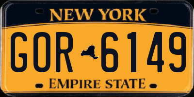 NY license plate GOR6149