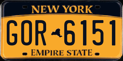 NY license plate GOR6151