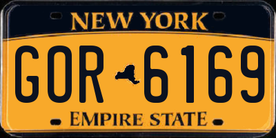 NY license plate GOR6169