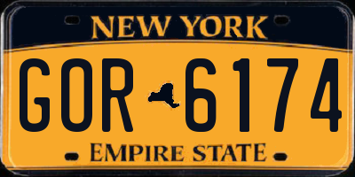 NY license plate GOR6174
