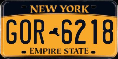 NY license plate GOR6218
