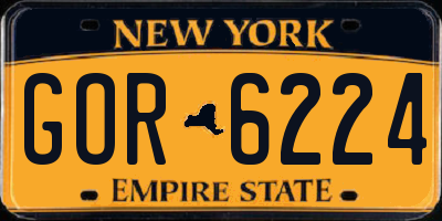 NY license plate GOR6224