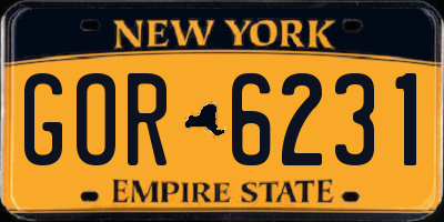 NY license plate GOR6231