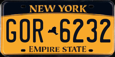 NY license plate GOR6232