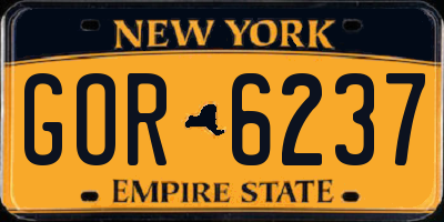 NY license plate GOR6237