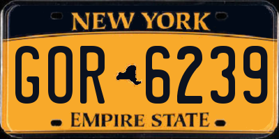 NY license plate GOR6239