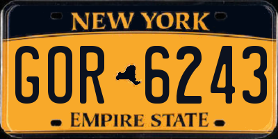 NY license plate GOR6243