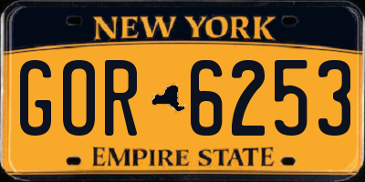 NY license plate GOR6253