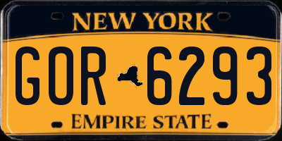 NY license plate GOR6293