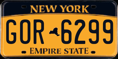 NY license plate GOR6299