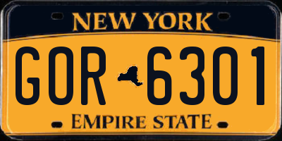 NY license plate GOR6301
