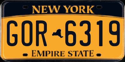 NY license plate GOR6319