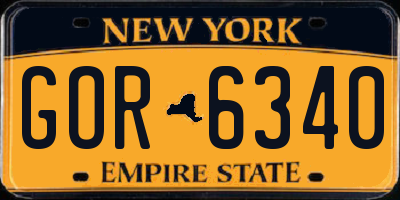 NY license plate GOR6340