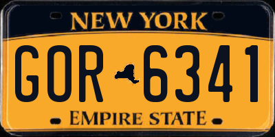 NY license plate GOR6341