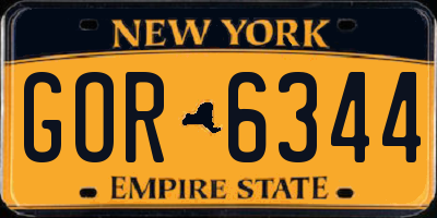 NY license plate GOR6344