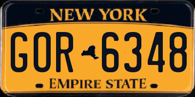 NY license plate GOR6348
