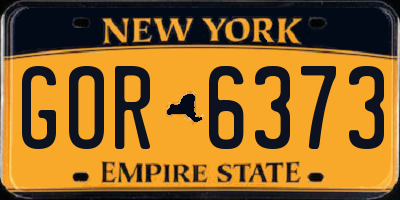 NY license plate GOR6373