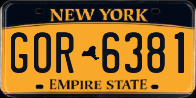 NY license plate GOR6381