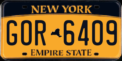 NY license plate GOR6409