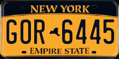 NY license plate GOR6445