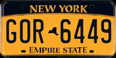 NY license plate GOR6449
