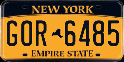 NY license plate GOR6485