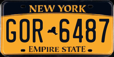 NY license plate GOR6487