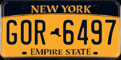 NY license plate GOR6497
