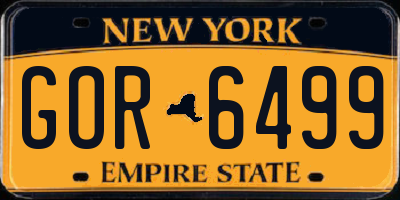 NY license plate GOR6499