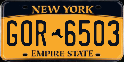 NY license plate GOR6503