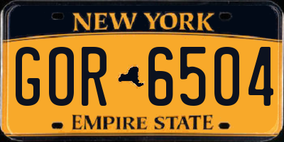 NY license plate GOR6504