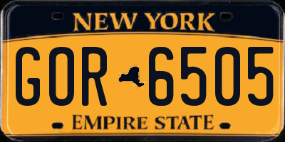 NY license plate GOR6505