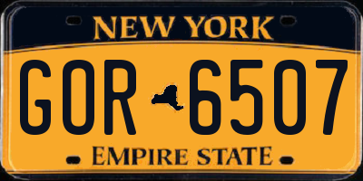NY license plate GOR6507