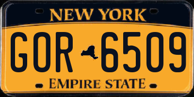 NY license plate GOR6509