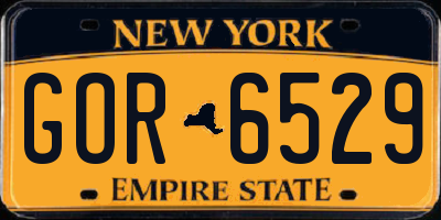 NY license plate GOR6529