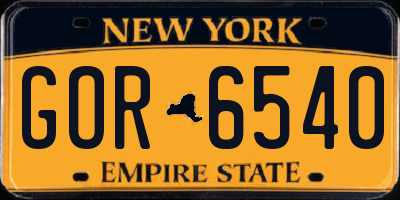 NY license plate GOR6540