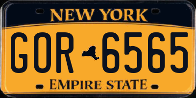NY license plate GOR6565