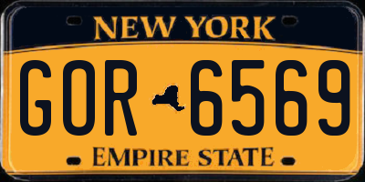 NY license plate GOR6569